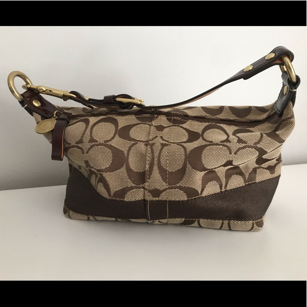 Small Brown Coach Bag